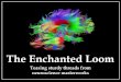 Enchanted Loom ~ David Eagleman