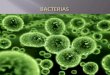 Patologia - Bactérias