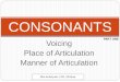 (6) consonants (articulation aspects)