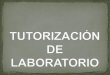 Tutorización de laboratorio