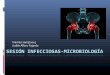 Infección de prótesis de cadera: Diagnóstico, tratamiento y microbiología