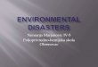 Environmental Disasters by Nemanja