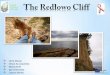 The redłowo cliff   comenius project