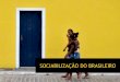 Sociabilidade brasileira