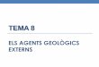 Tema 8 Els agents geològics externs