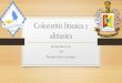 Colecistitis litiasica y alitiacica aguda y cronica