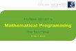 A software approach to mathematical programming