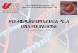 PCR- Reação em cadeia pela DNA POLIMERASE!