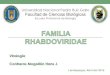 Familia rhabdoviridae