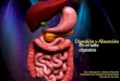 Fisiología gastrointestinal   absorción y digestión