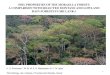 SOIL PROPERTIES OF THE MORAELLA FOREST: A COMPARISON WITH SELECTED MONTANE AND LOWLAND RAIN FORESTS IN SRI LANKA