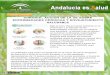 Andalucía es salud núm 278: ‘Chrodis’, acción de la UE sobre enfermedades crónicas y envejecimiento saludable