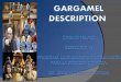 Full Description Santos and Gargamel