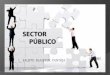 Sector publico eco