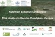 Nutrition-Sensitive LandscapesPilot studies in Barotse Floodplain, Zambia by thilsted