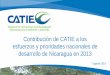 Presentación informe final 2013 Nicaragua CATIE (7 agosto 2014)