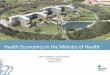 Health Economics in the Ministry of Health