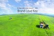 TH TRUE HEAL - Brand Love Key