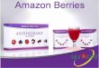 Amazon berries