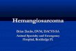 Hemangiosarcoma daubs aseh
