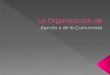 La organización de España y la Comunidad Autónoma de Castilla-La Mancha