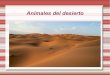 Animales del desierto por Eider