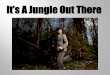 How to Navigate Through The Online Marketing Jungle