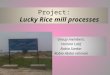 Rice mill production process