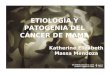 EtiologíA Y Patogenia Del CáNcer De Mama