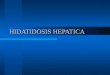 Hidatidosis hepatica (hsrg)