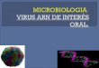 Microbiologia virus ARN de Interés oral
