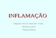 Inflama slides