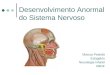 Desenvolvimento anormal do sistema nervoso