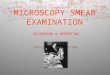 Microscopy smear examination 2014