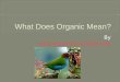 What Does Organic Mean?