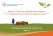 Module 5: Financing mechanisms and sources – the FAO Learning tool on Nationally Appropriate Mitigation Actions (NAMAs) in the agriculture, forestry and other land use sector