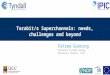 Terabit/s Superchannels: needs, challenges and beyond