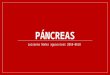 Páncreas y bazo (patología quirúrgica)