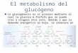 El metabolismo del glucógeno