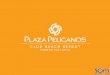 Presentacion Hotel Plaza Pelicanos Club