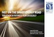 TerniEnergia Business Plan 2015-17 "Fast on the smart energy road"