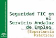 Seguridad TIC en el Servicio Andaluz de Empleo