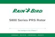 RainBird PRS