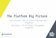 The Platform Big Picture