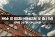 eLearning and Project Management: Free is good freedom is better
