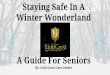 Staying Safe In A Winter Wonderland: A Guide For Seniors