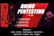 Rhino Pentestig Tool V 1.0