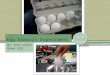 Kim's Egg osmosis experiment