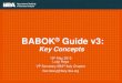 Luigi   babok-guide-presentation-template con key concepts