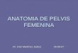 Anatomia De Pelvis Femenina1